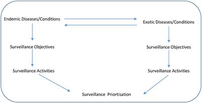 Development and Application of a Prioritization Tool for Animal Health Surveillance Activities in Ireland